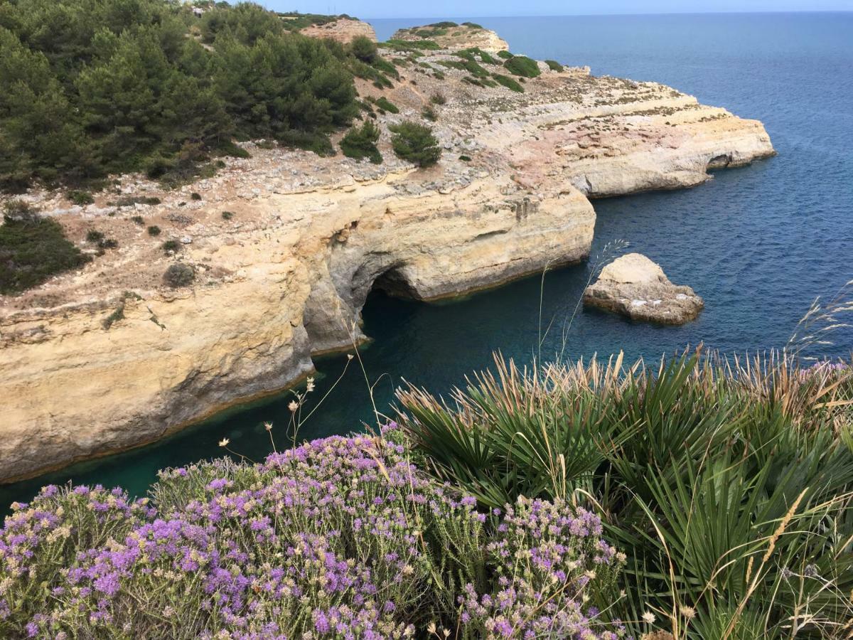Casa As Gaivotas Διαμέρισμα Καρβοέιρο Εξωτερικό φωτογραφία